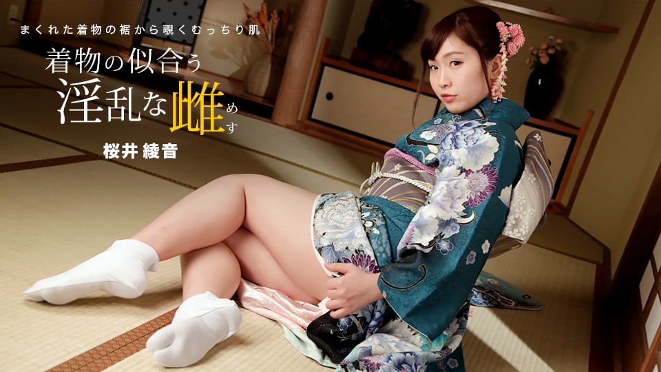 《010822_001 着物の似合う淫乱な雌   桜井綾音》最新高清在线播放封面图